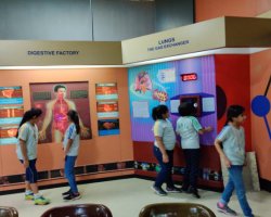 Std V Field Trip - Naval Academy and Nehru Science Centre